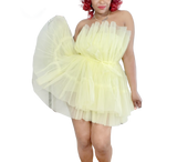 Butterfly Tulle Dress
